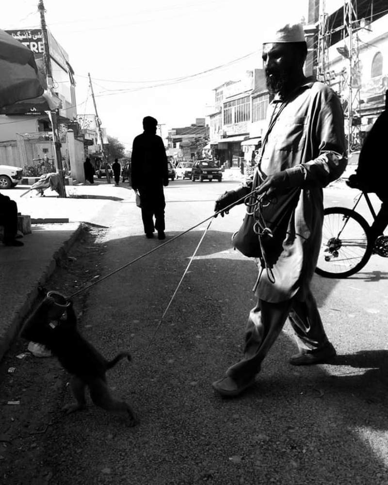 Photograph by Sadaf Saeed