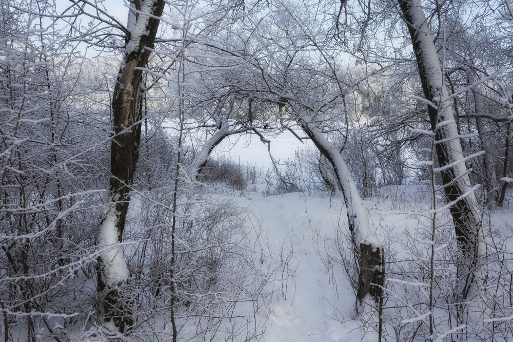 Photograph by Александр Канцур