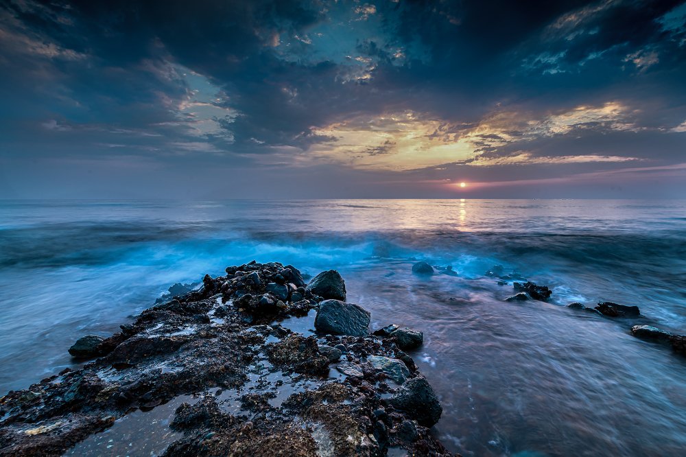 Photograph by Shrideep Nanal