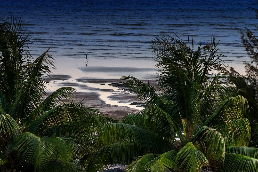 Photograph by Shrideep Nanal