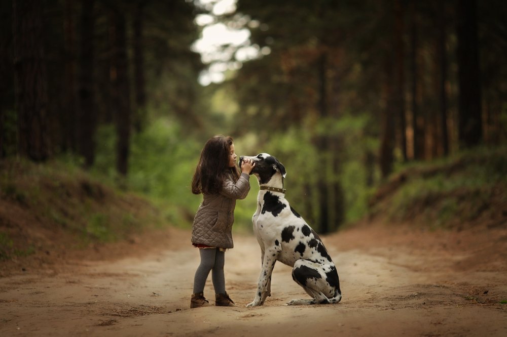 Фотография автора Журавель Саша
