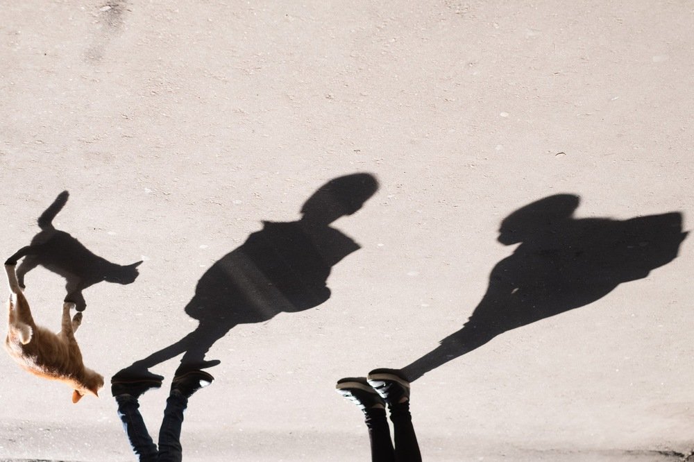 Photograph by Татьяна Нестерова