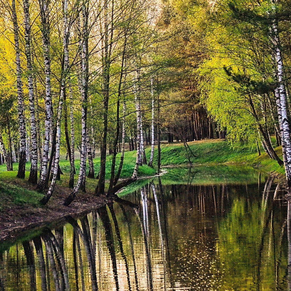 Photograph by Антонина Владимировна Завальнюк