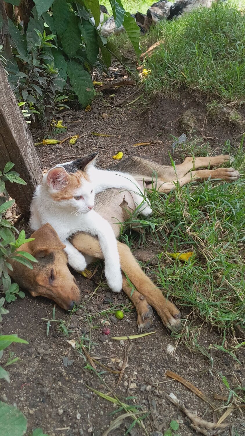Photo #4134644