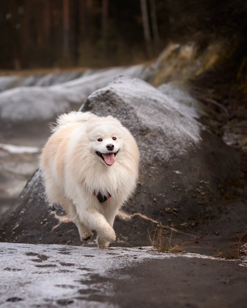 Photograph by Лилия Камарова