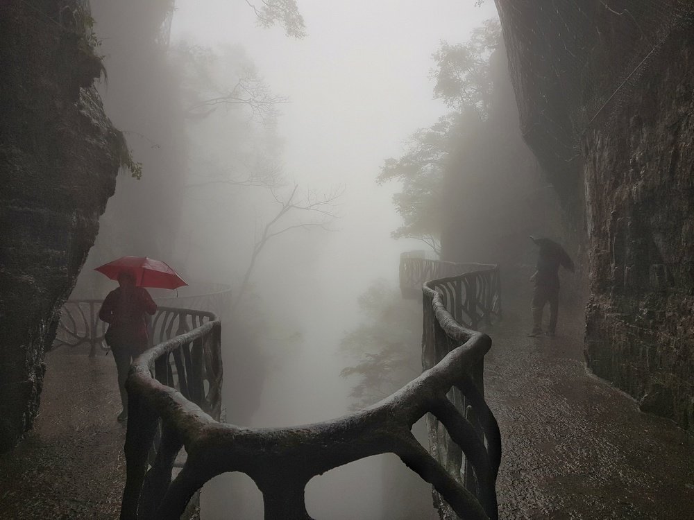 Misty silence (Туманное безмолвие)