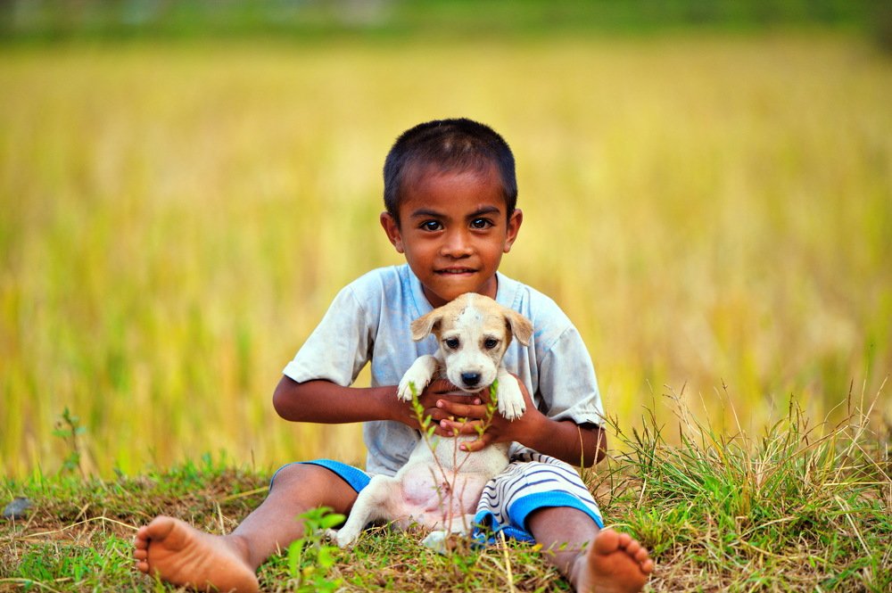 Boy with puppy