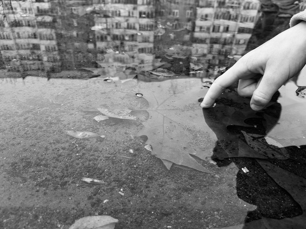 Photograph by Елена Ганненко