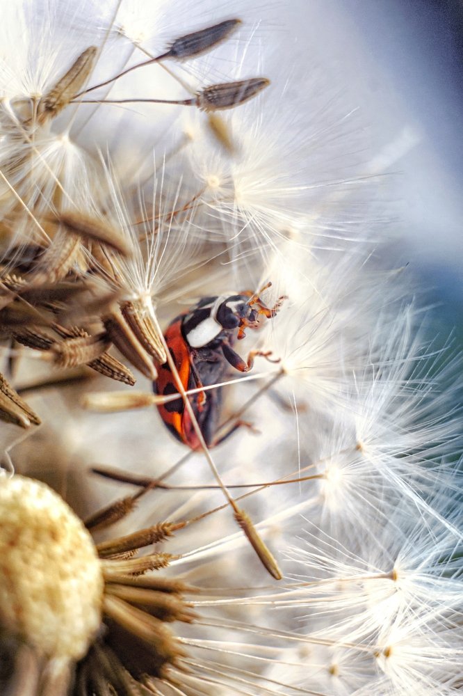 Photograph by Евгений Горланов