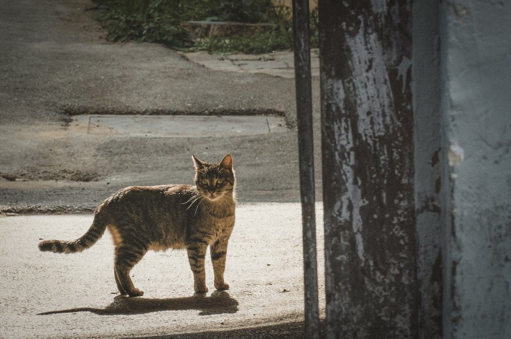 Photograph by Yana Khazova