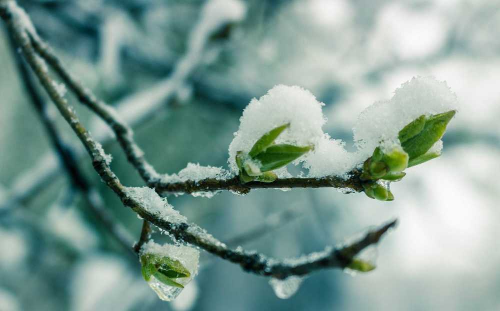 Photograph by Вячеслав Борисенко