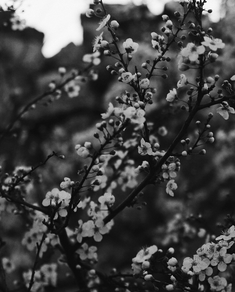 Фотография автора Елизавета Иваськевич