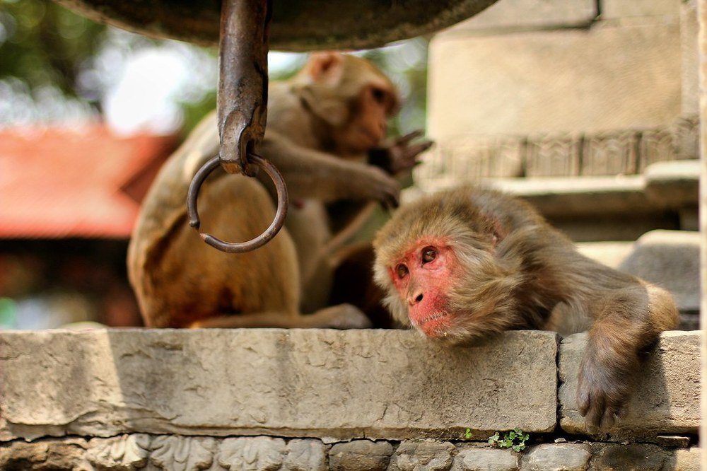 Photograph by Пётр Шевелько