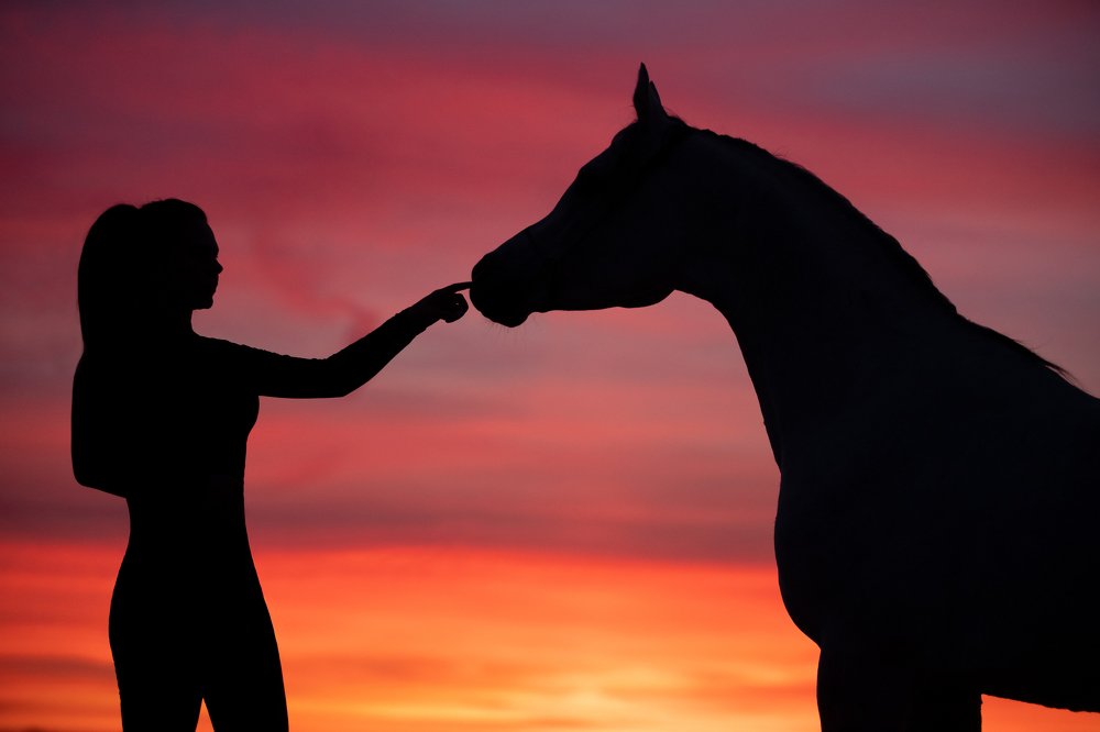 Photograph by Татьяна Немова