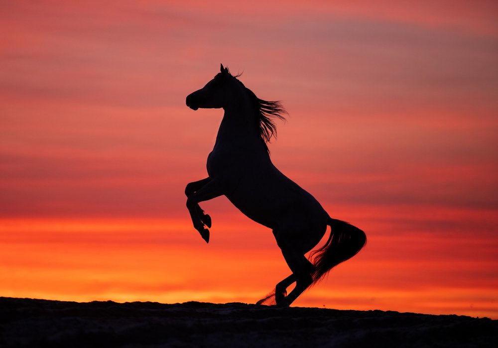 Photograph by Татьяна Немова