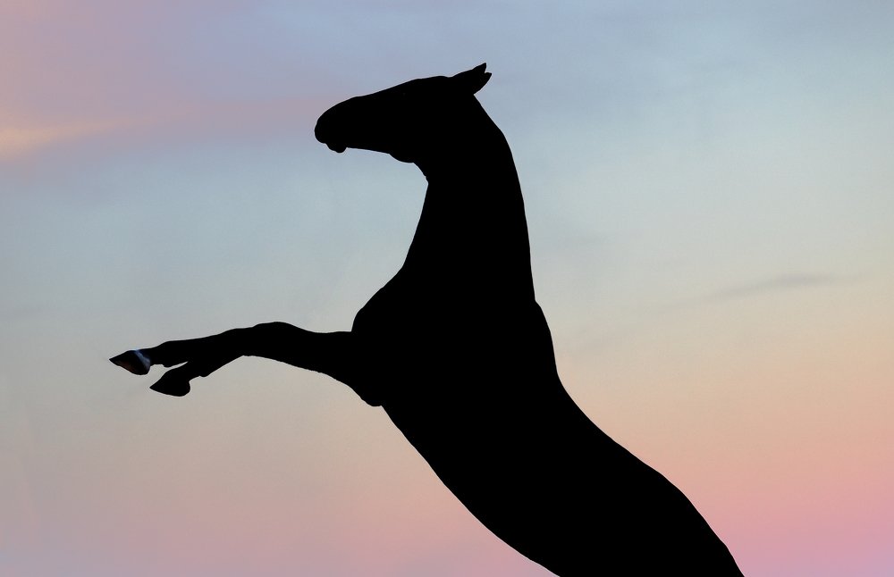 Photograph by Татьяна Немова