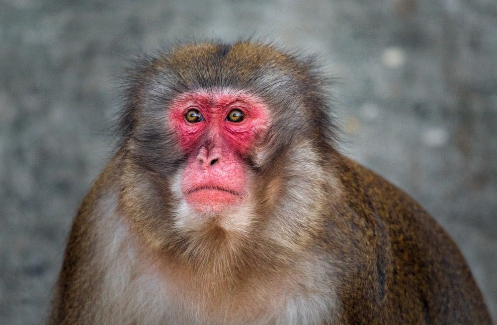 Photograph by Васильев Андрей