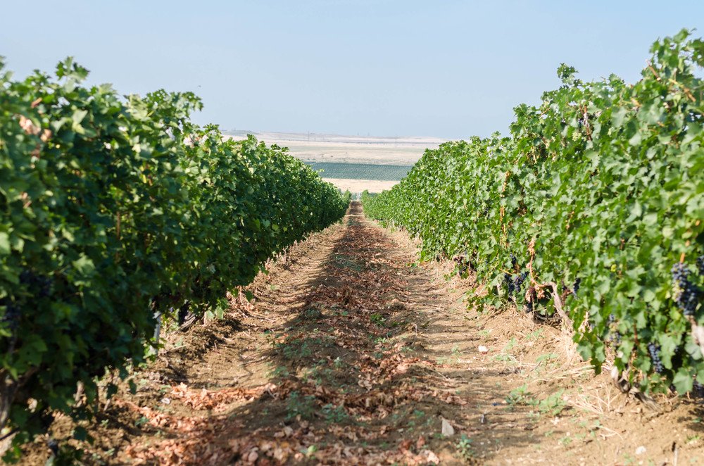 Photograph by Марина Анчукова