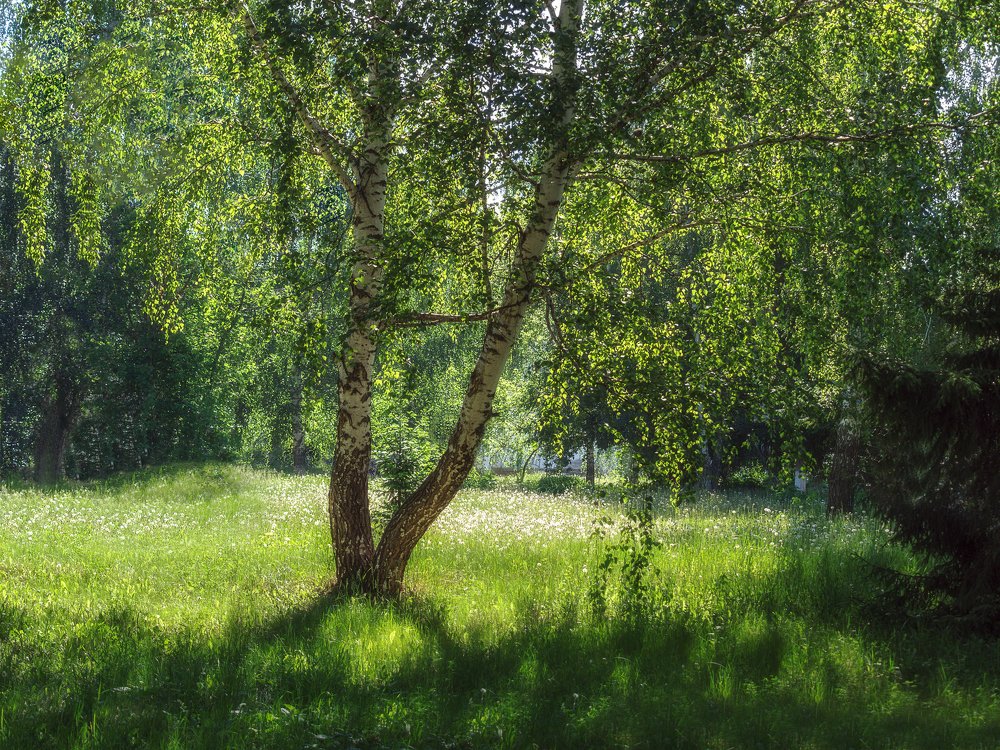 Photograph by Вячеслав Баширов