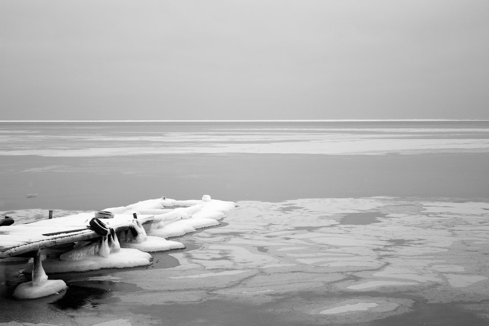 Photograph by Анастасия Полищук