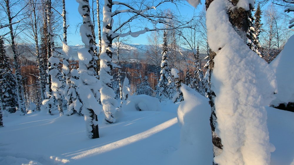 Photograph by Александр Полюдов