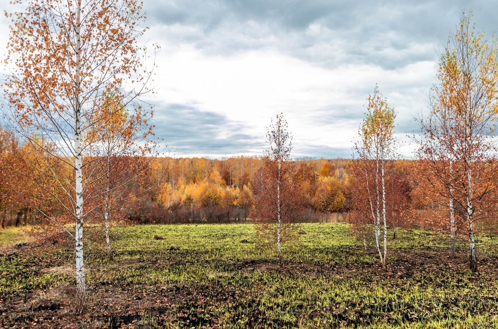 Photograph by Марина Анчукова