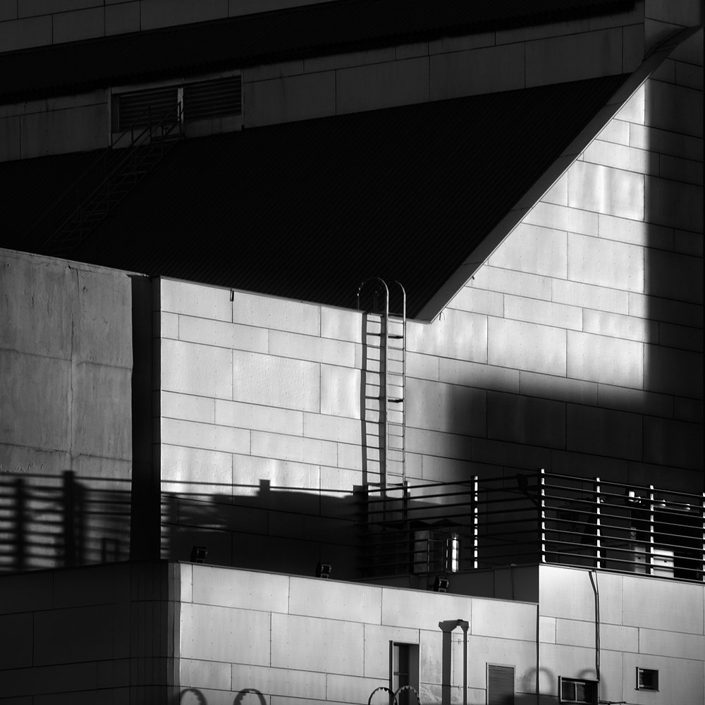 Photograph by Дмитрий Антипов