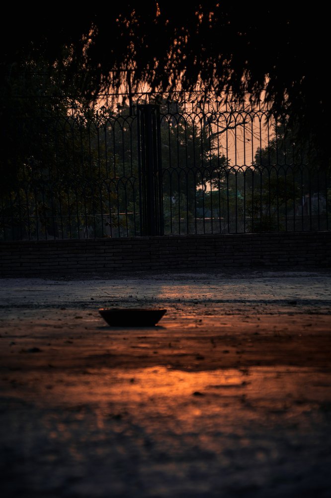 Photograph by Talha safdar