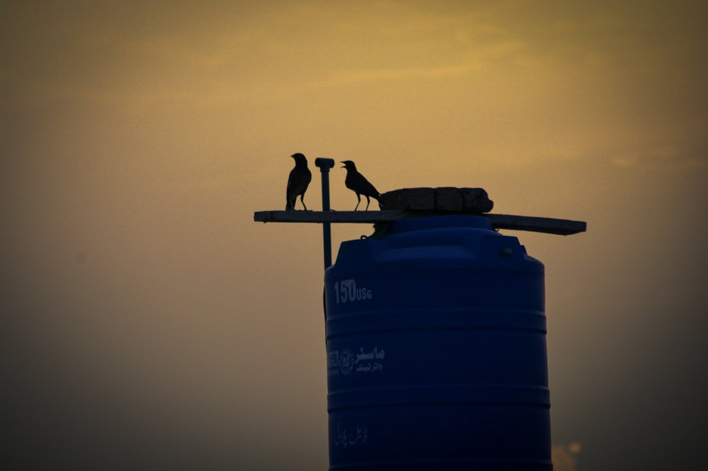 Photograph by Talha safdar