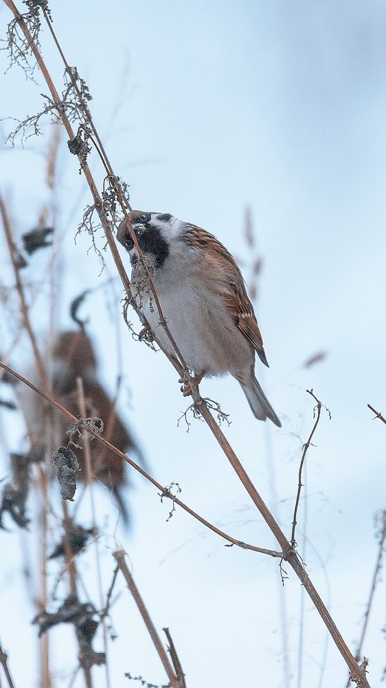 Photograph by Сергей Скоробогатов