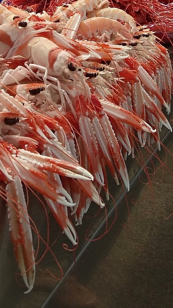 Swan lake in Andalusian.