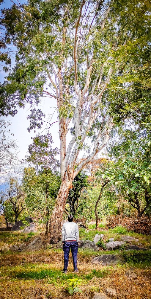 Photograph by Rajesh Chaudhary
