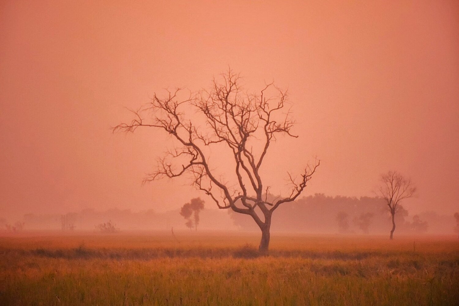 Landscape