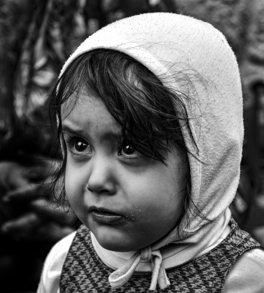 Photograph by Mohadese gholami