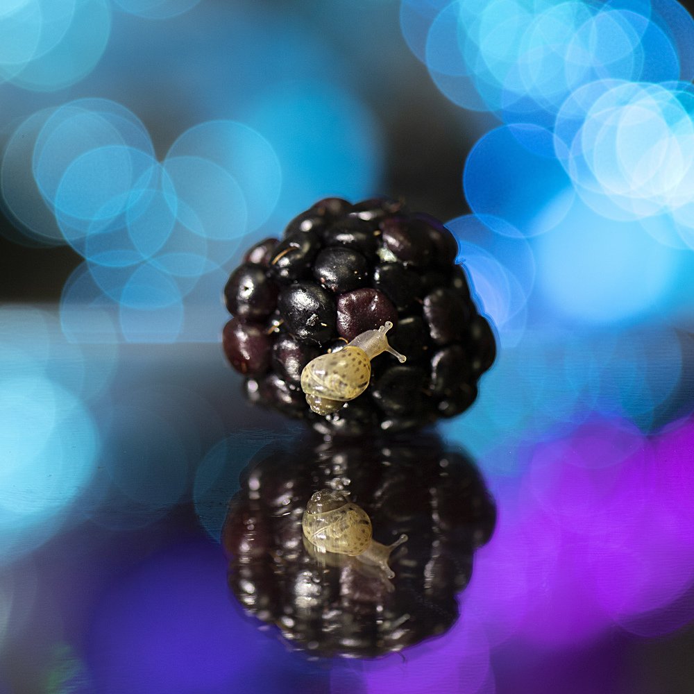 Photograph by Екатерина Вивюрская