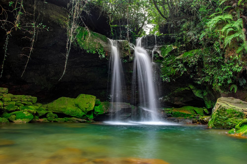 Photograph by Tanmoy Das