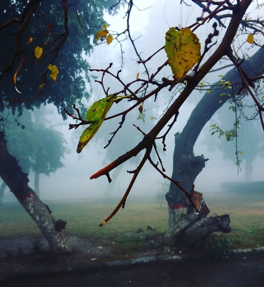 Photograph by Afnan Ali Muhammad