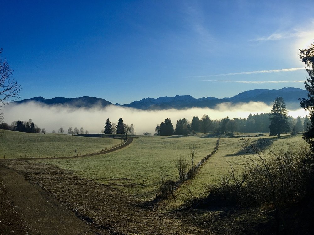 Photograph by Marius