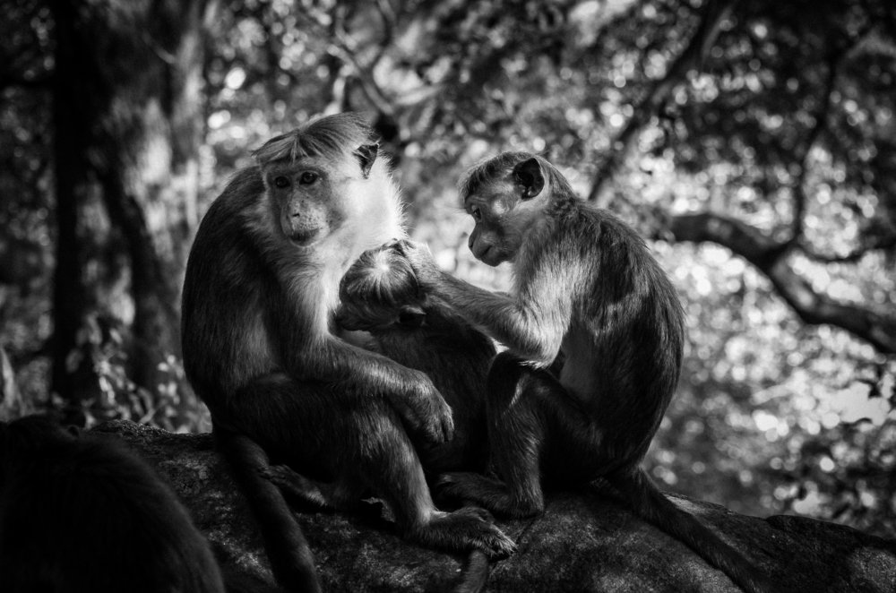 Photograph by Artsrun Ganjalyan