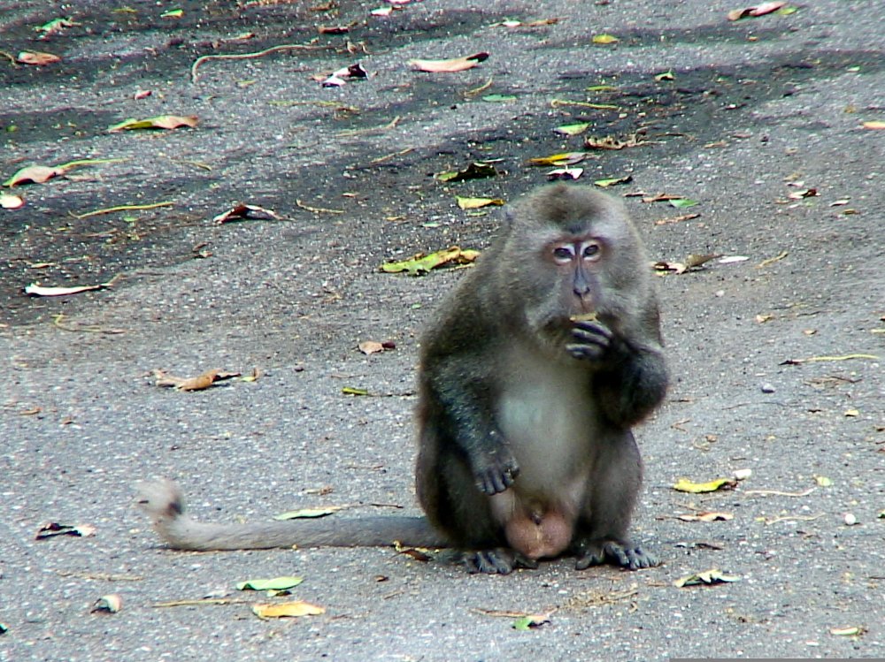 Photograph by Albert Maramis