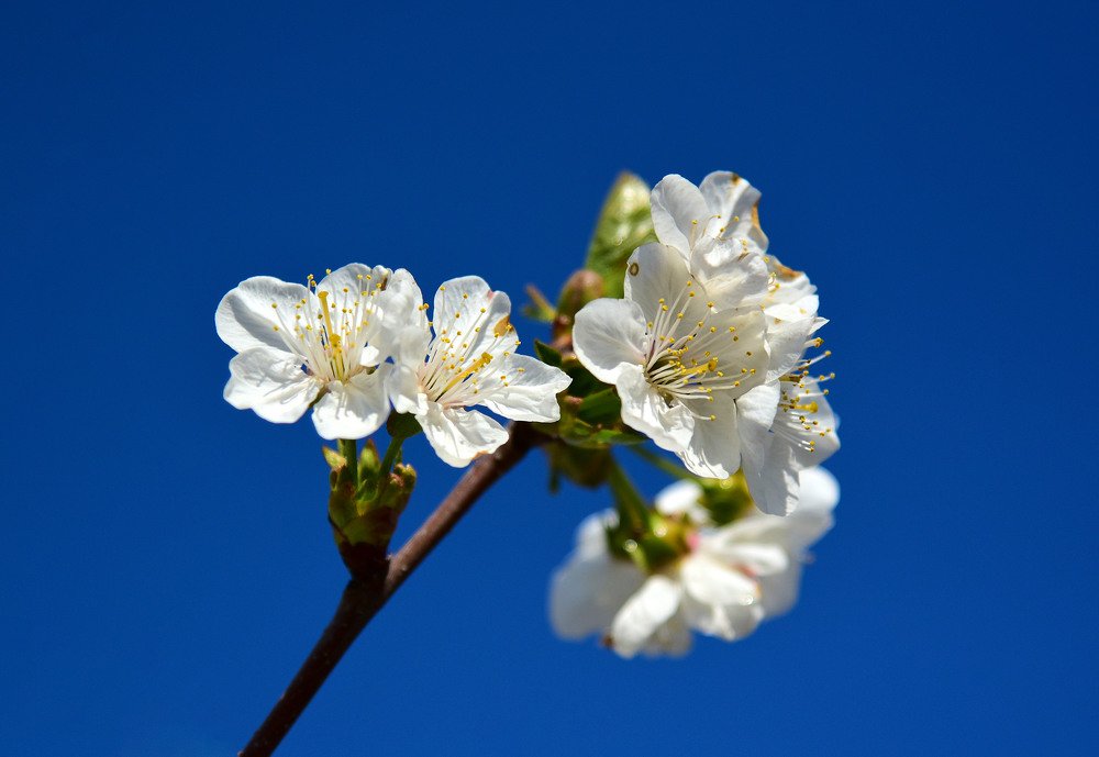 Photograph by Юлия Ковальчук