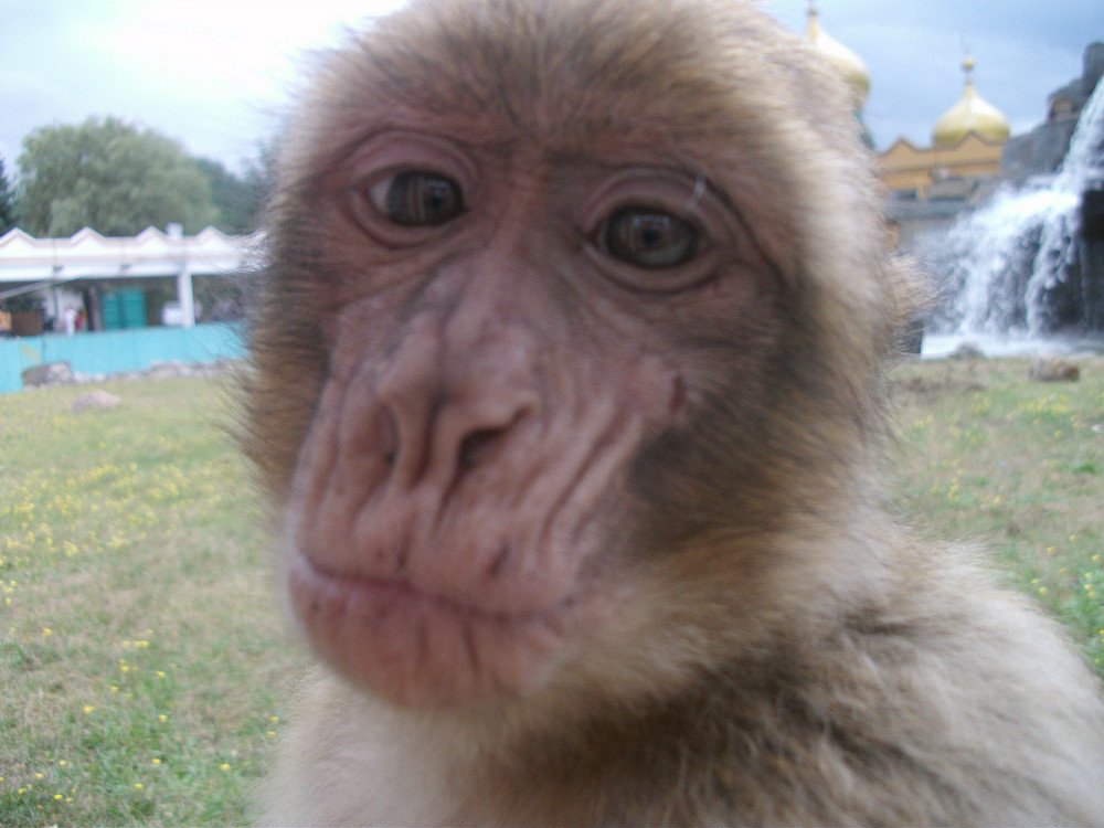 Photograph by Горбачева Марина