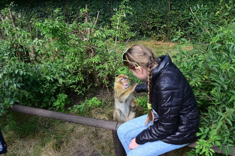 Photograph by Горбачева Марина