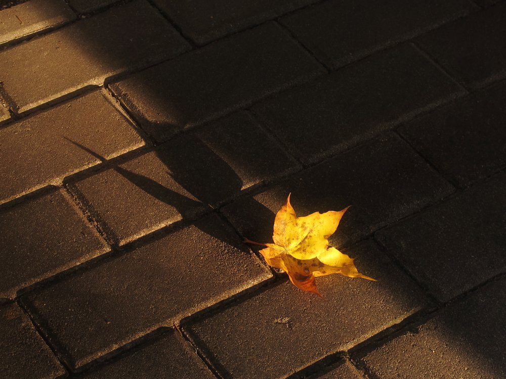 Фотография автора ТАТЬЯНА ЗАХАРОВА