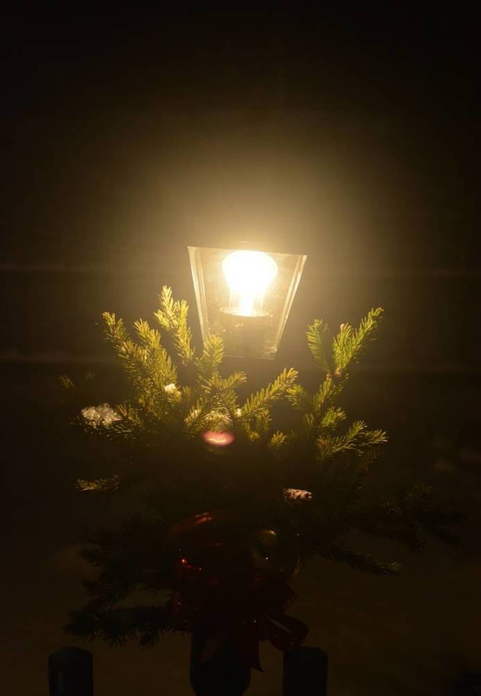 Photograph by Ксения Лебедева