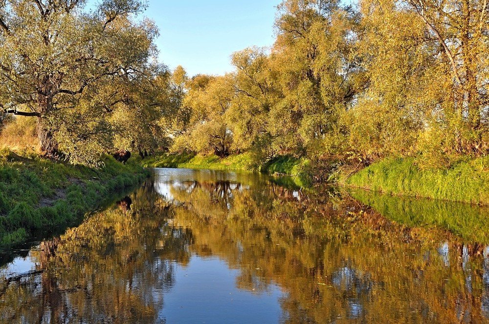 Отражение осени