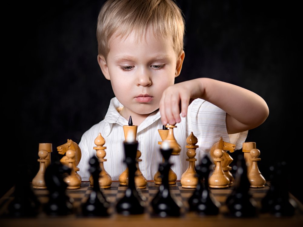 Юный шахматист