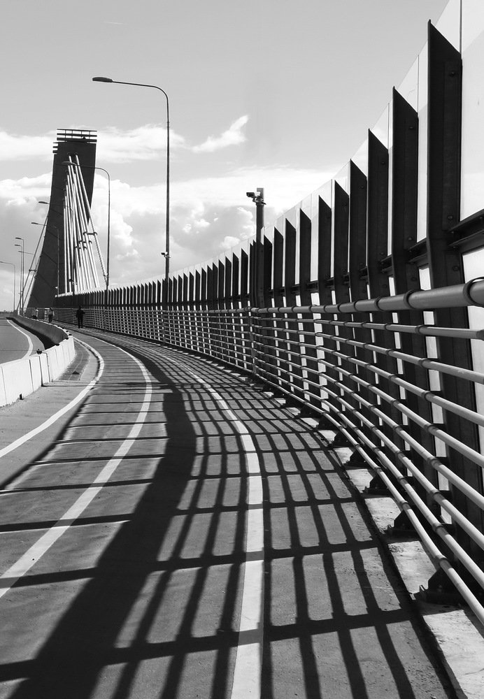 Вантовый мост