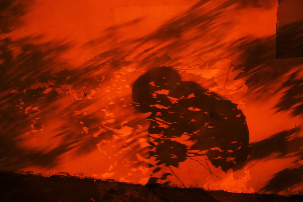 Photograph by Алексей Егоров