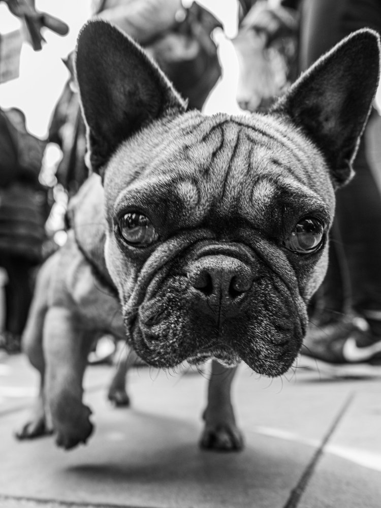 Photograph by Kowalski Tomasz